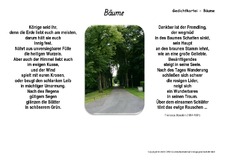 Bäume-Stoecklin.pdf